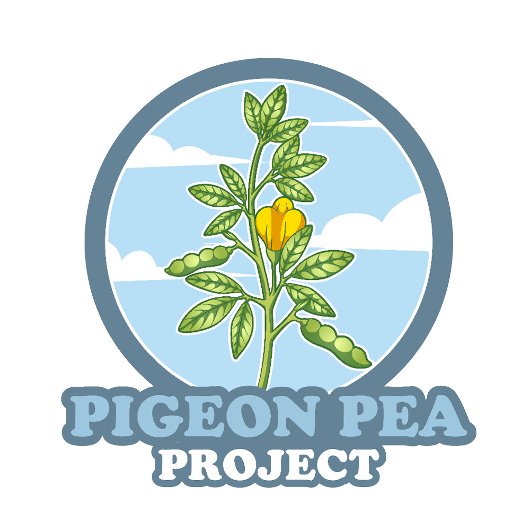 Pigeon Peaプロジェクト:ショルダーロゴ Tシャツ