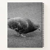 Pigeon Spiral Notebook  ノートブック (裏面)