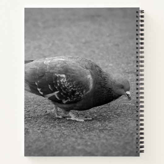 Pigeon Spiral Notebook  ノートブック (裏面)