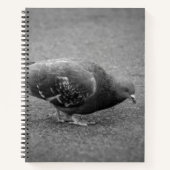 Pigeon Spiral Notebook  ノートブック (正面)
