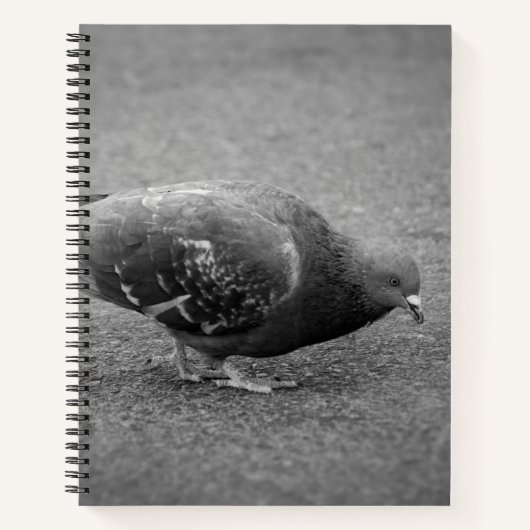 Pigeon Spiral Notebook  ノートブック (正面)
