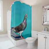 Pigeon With A View シャワーカーテン (インサイチュ)
