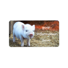 Piggin' Out Farm Life Return Address Labels ラベル
