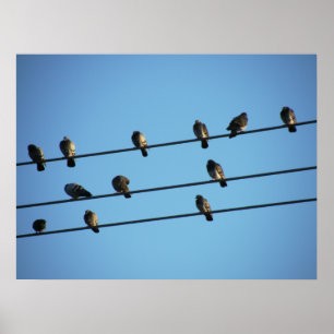 Pights on a Powerline ポスター