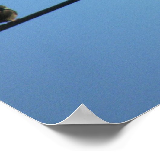 Pights on a Powerline ポスター (角)