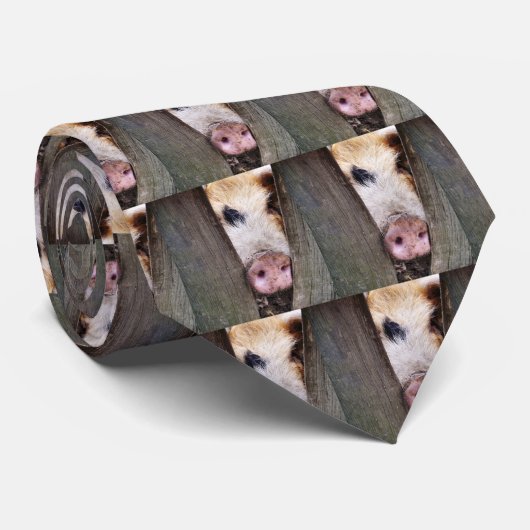 PIGS ネクタイ (ロール)