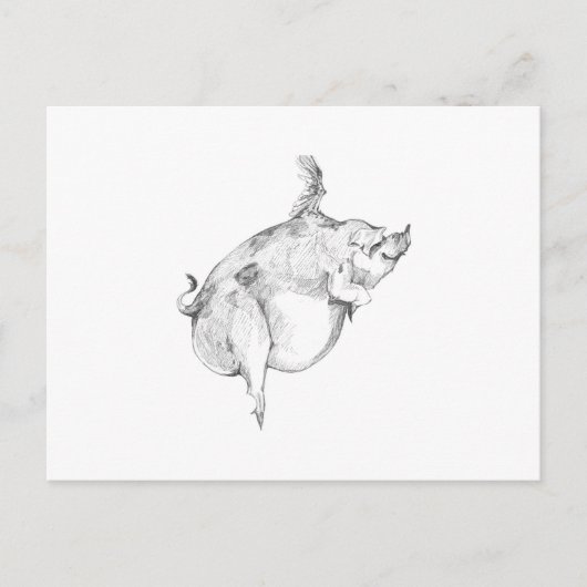 Pigs Can Fly Postcard ポストカード (正面)