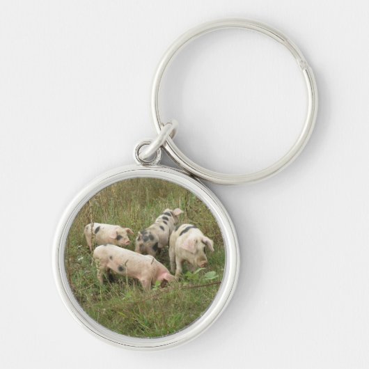 Pigs in a field Keychain キーホルダー (正面)