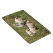 Pigs in a field Premium Magnets マグネット (右側)