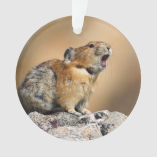 Pika オーナメント