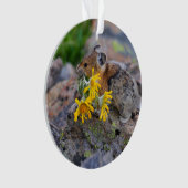 pika オーナメント (正面)