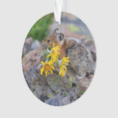 pika オーナメント (正面)