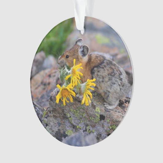 pika オーナメント (正面)