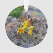 pika オーナメント (正面)