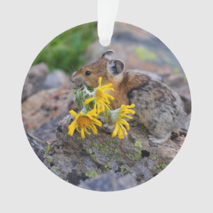 pika オーナメント