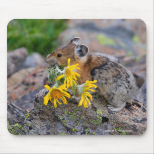 Pika マウスパッド