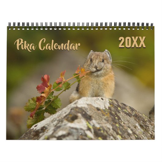 PIka 2026 Calendar カレンダー (カバー)