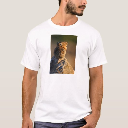 pika tシャツ (正面)