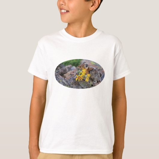 pika tシャツ (正面)