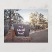 Pike National Forest Colorado ポストカード (正面)