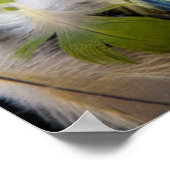 Pile of colorful feathers ポスター (角)