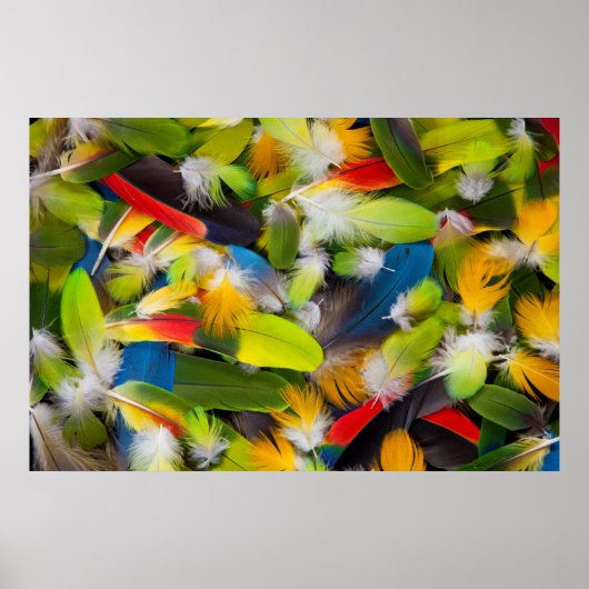 Pile of colorful feathers ポスター (正面)