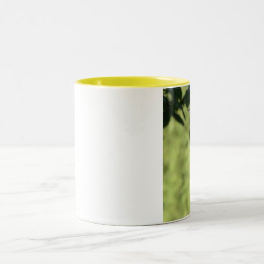 Pileatedのキツツキのコーヒー・マグ ツートーンマグカップ (中央)