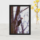 Pileatedのキツツキ カード (黄色い花)