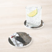 Pileatedのキツツキ コースター (側面)