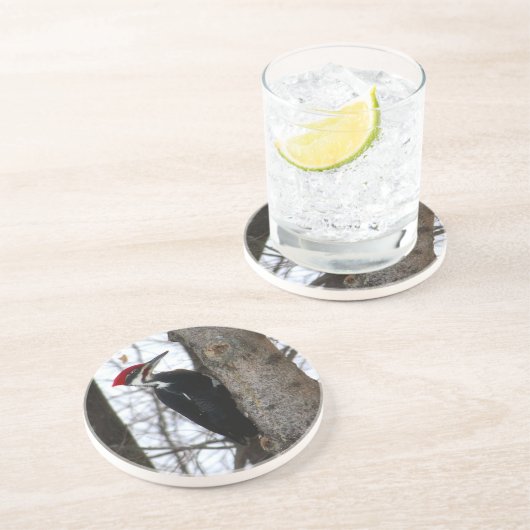 Pileatedのキツツキ コースター (側面)