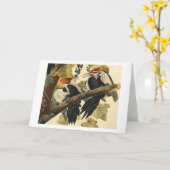 Pileatedのキツツキ、ジョン・ジェームズ・オーデュボン カード (黄色い花)