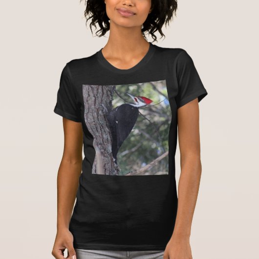 Pileatedのキツツキ Tシャツ (正面)