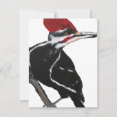 Pileated Woodpecker シーズンカード (正面)