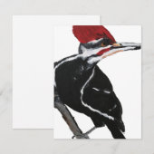 Pileated Woodpecker シーズンカード (正面/裏面)