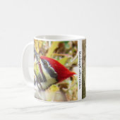 Pileated Woodpecker Coffee Mug コーヒーマグカップ (正面左)