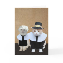 Pilgrim Cats おもしろい Thanksgivingカード