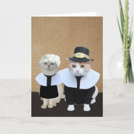 Pilgrim Cats おもしろい Thanksgivingカード シーズンカード