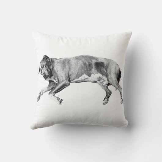 Pillow-Side Dreams for December クッション (裏面)