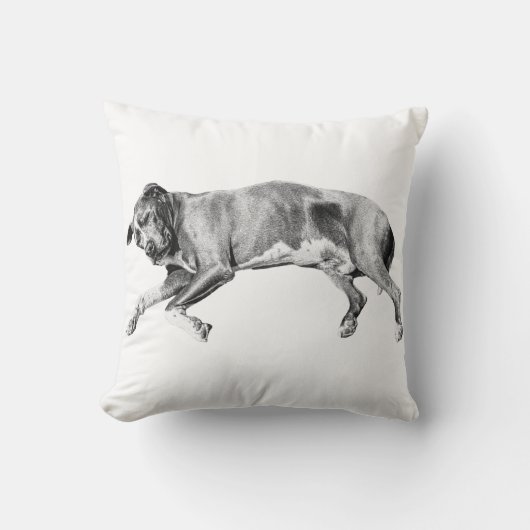 Pillow-Side Dreams for December クッション (正面)