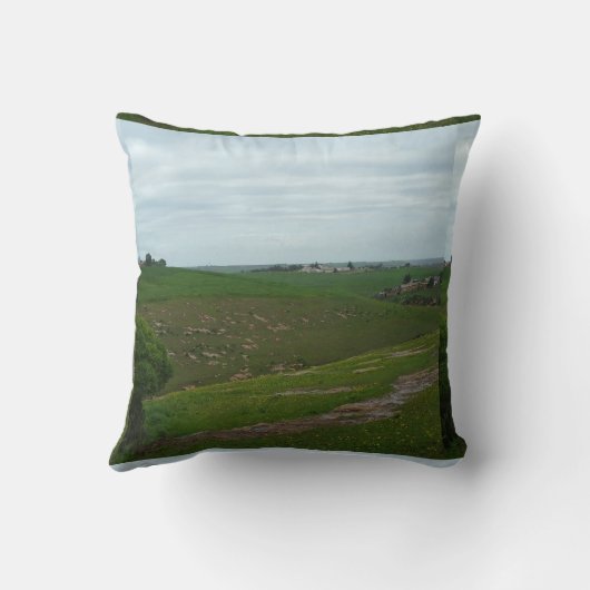 Pillows  クッション (裏面)