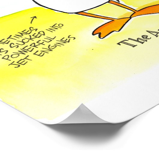 Pilot and Amateur Differences Poster ポスター (角)