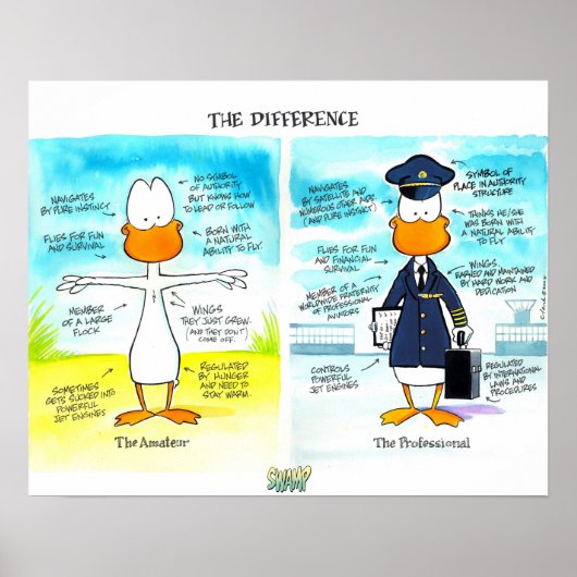 Pilot and Amateur Differences Poster ポスター (正面)