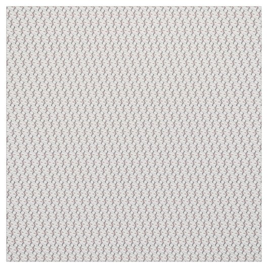 Pimaの綿織物 ファブリック (見本)