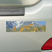 Pinのアルプス、フランスの花 バンパーステッカー (車上)