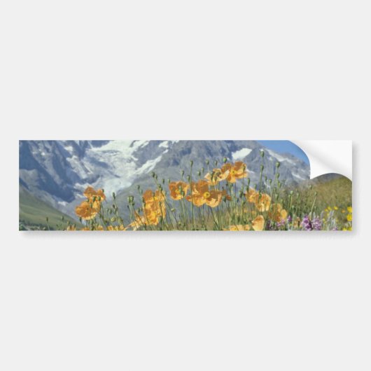 Pinのアルプス、フランスの花 バンパーステッカー (正面)