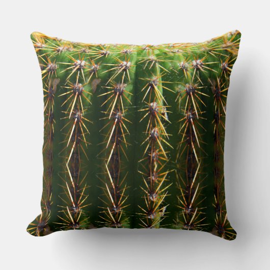 Pinのクッションのタマサボテン クッション (正面)