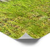 Pincher Creek Alberta ポスター (角)