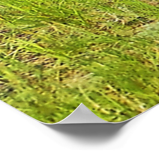 Pincher Creek Alberta ポスター (角)