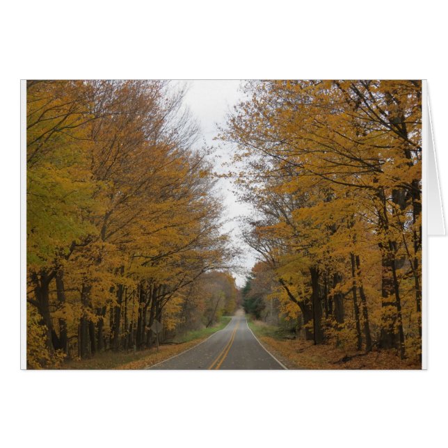 pine湖のまわりの道の秋色 (正面横)