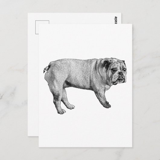 Pine-Edge Postcard ポストカード (正面/裏面)